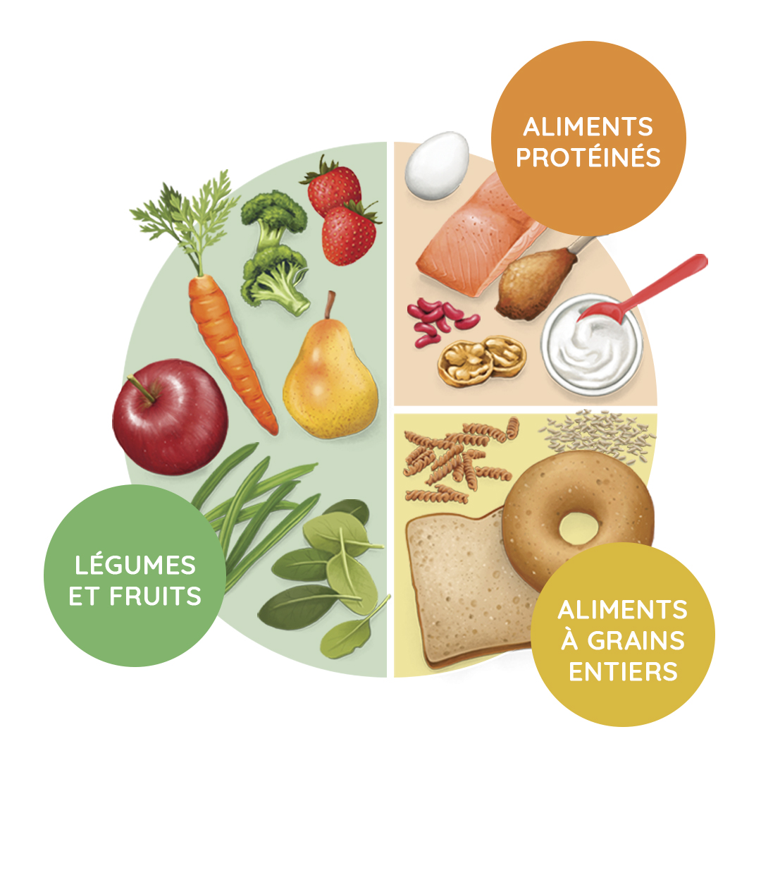 Manger équilibré, qu'est-ce que c'est?